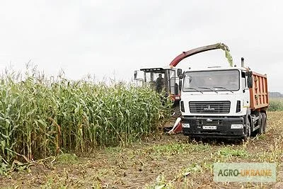 Уборка сенажа сена соломы уборка кукурузы на силос по Украине
