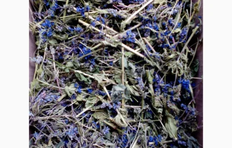 Трава вероники 1 кг