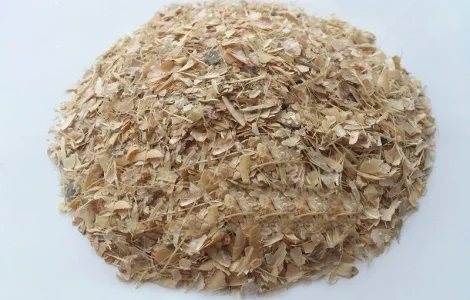 Фасоль створки