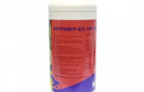 Інтровіт А+орал 1 л вітаміни Interchemie