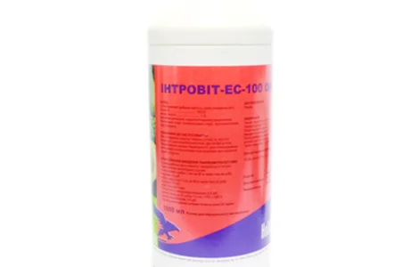 Интровит ЕС витамины оральный 1 л Interchemie