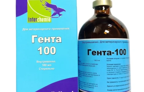 Гента-100, 100 мл