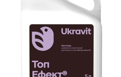Фунгицид Топ Эффект 5л