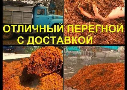 Навоз коровий. Удобрение.