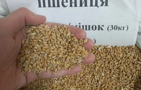 Пшениця, Кукуруза, Соняшник, Овес, Ячмінь, Просо