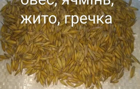 Овес посівний, Ячмінь ярий, Жито, Гречка, Вика