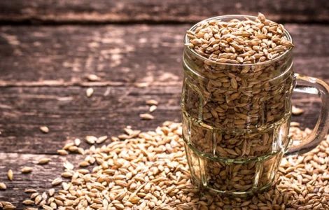 Закуповуємо ячмінь пивоварний.