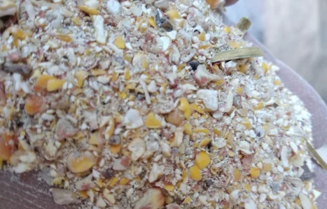 Реализую отходы, побочный продукт кукурузы