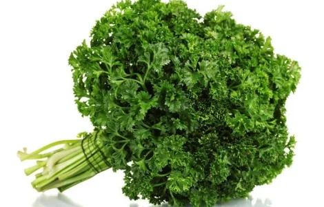 Петрушка кучерява (100 г)