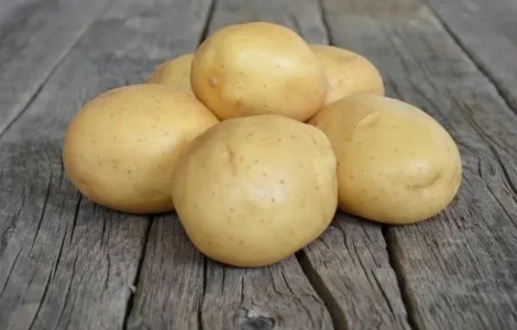 Картофель на посадку Мелоди (среднепоздний)