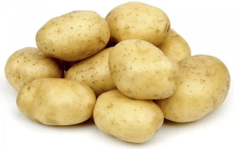 Картофель семенной (Мелоди)