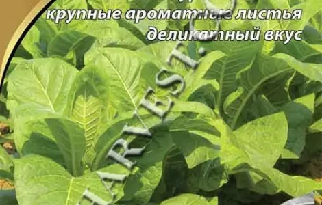 Семена табака "Вирджиния 201" 0.1 г