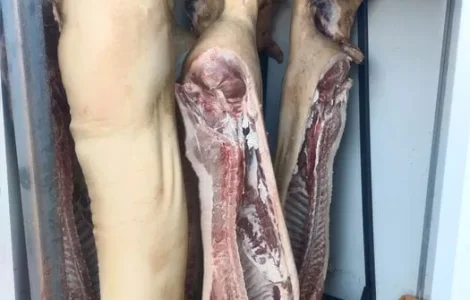 Свинина, туша свиньи, мясо