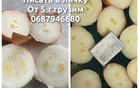 Продам лук на выгонку зелёного пера
