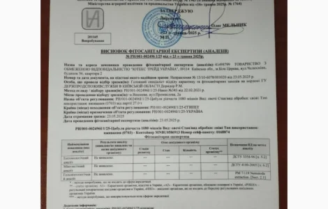 Продажа лука перо