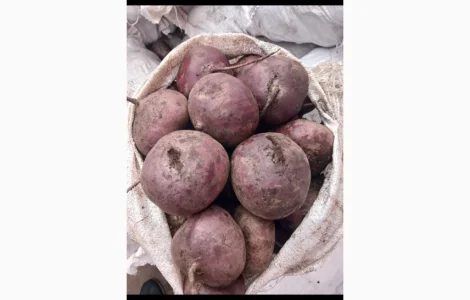Продам товарний буряк