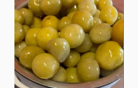 Продам помидор зеленый квашеный