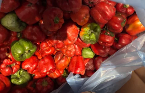 Продам перец замороженный целый