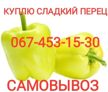Куплю сладкий перец