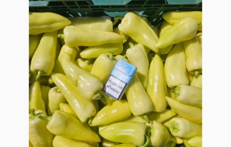 Продам перець