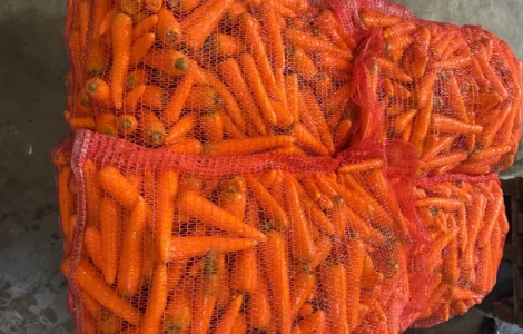 Продам морковь мытую 1 сорт