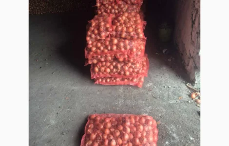 Продам лук