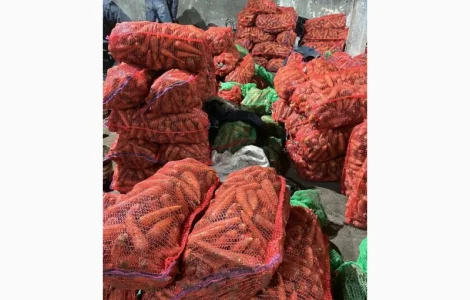 Продам моркву від постачальника з 10 тонн