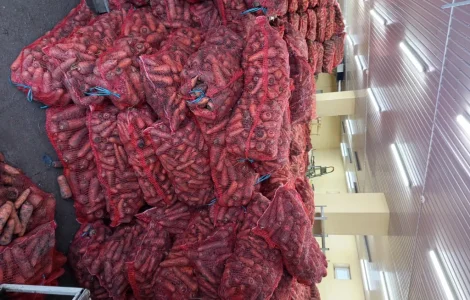 Продам моркву