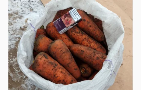 Продам крупную морковь 1-го сорта