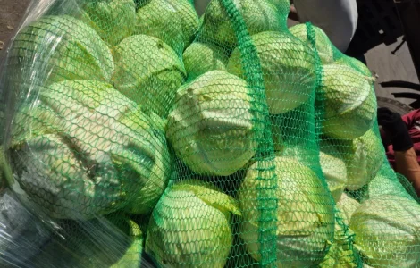 Продам капусту