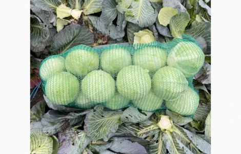 Продам капусту Сторідор Золочевский район