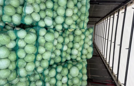 Продам зимнюю капусту