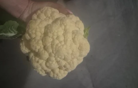 Продам капусту цветную
