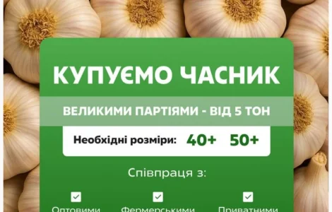 Куплю чеснок
