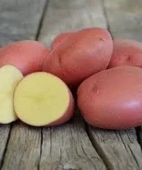 Посадочная картофель Ред Леди Полтавская область купить качественную