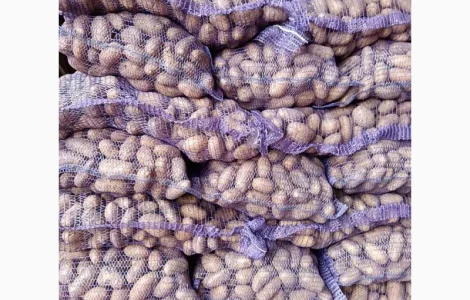 Продам товарну картоплю сорт Гранада та Белороса