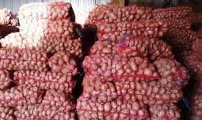 Продам посадочный картофель Ред Леди оптом от 20 тонн Чернигов