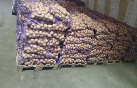 Продажа картофеля с овощебазы в Житомире