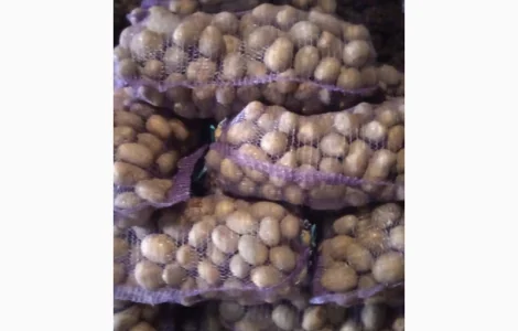 Продам картофель мелоди
