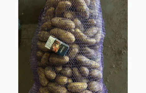 Продам картоплю гранада