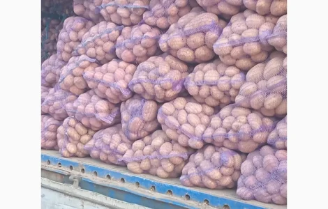 Продам картоплю кількох сортів хорошої якості обсяги є