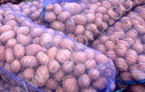 Продам посадочный картофель