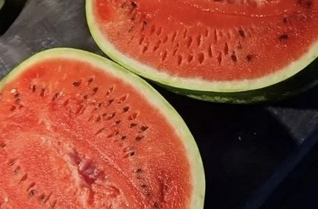 Продам арбуз сорт Каристан