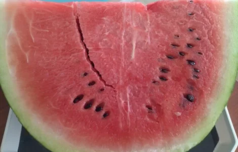 Продам кавун із Туреччини