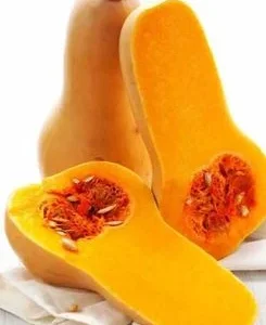 Сладкий мускатный гарбуз на продажу
