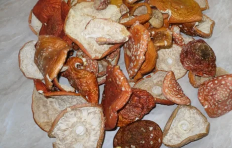 Продам мухомор червоний сушений збір 2025р