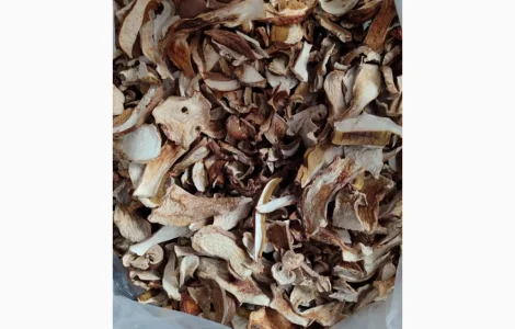 Сушені білі гриби з Карпат