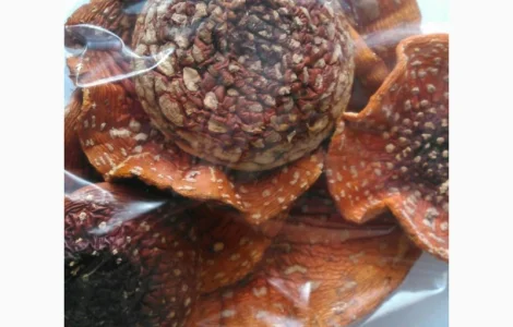 Мухомор сушеный - целебный и вкусный