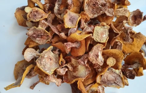 Продам маслюк сушений в цілому вигляді