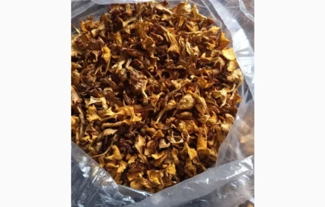 Продам лисичку сушену